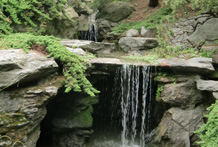 Japanese Hill and Pond Garden - Brooklyn Botanical Gardens