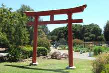 Lake Merritt, Oakland - Bonsai Garden